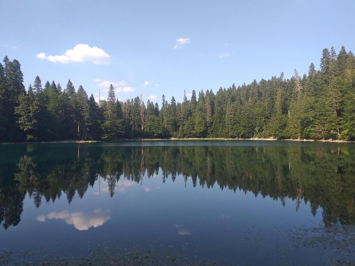 Vila Montana Dobrilovina Екстер'єр фото