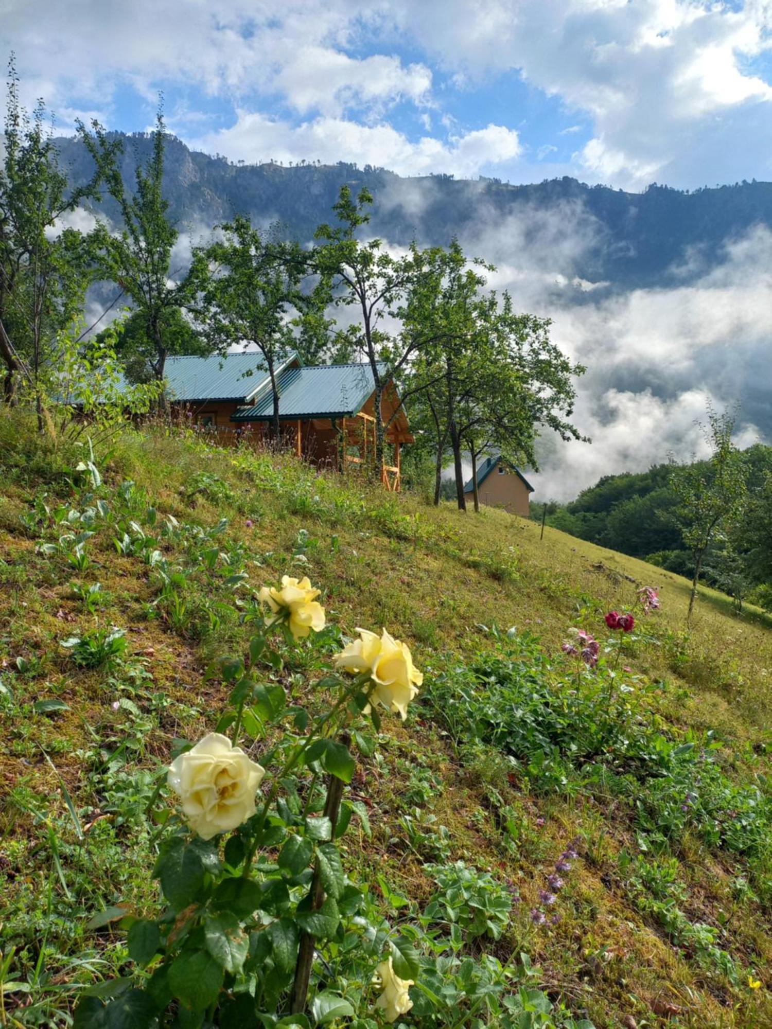 Vila Montana Dobrilovina Екстер'єр фото