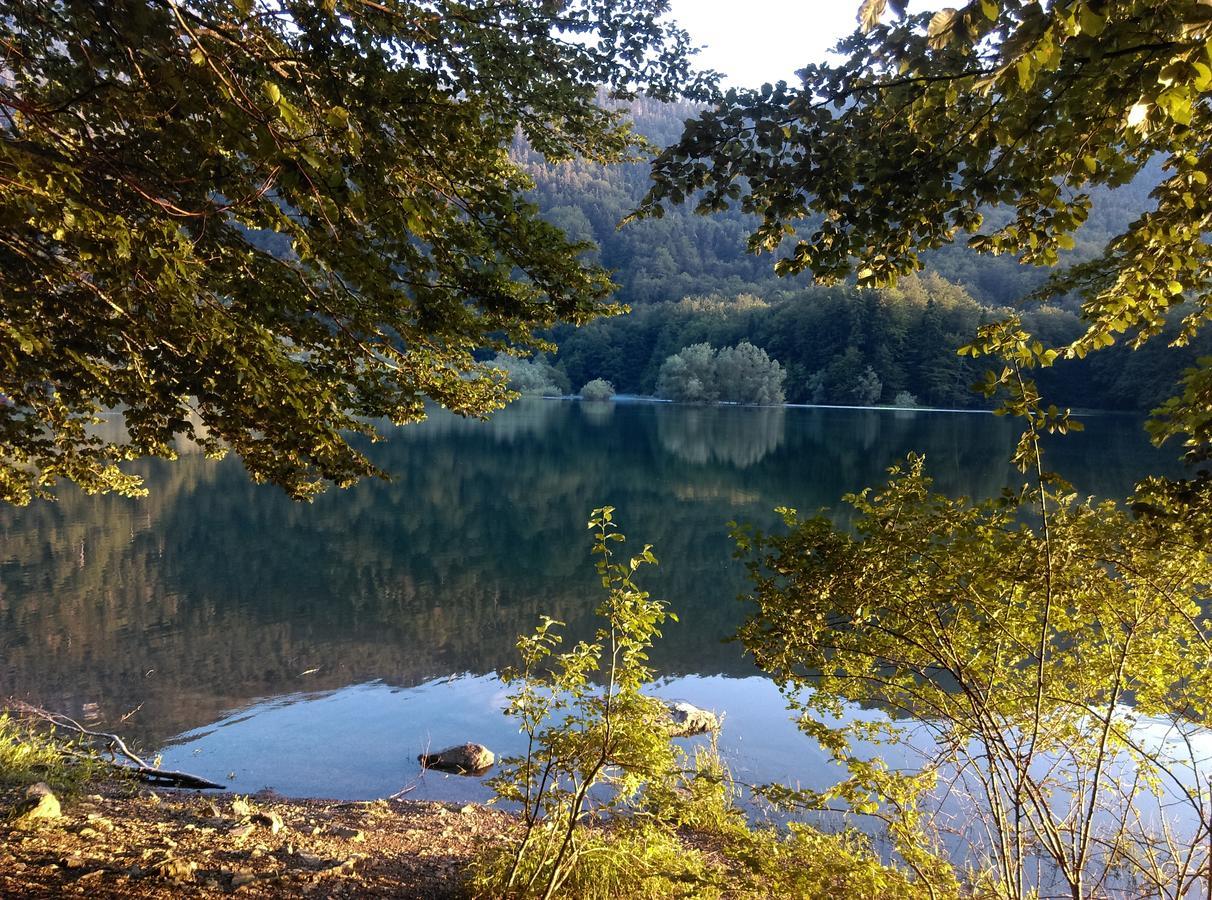 Vila Montana Dobrilovina Екстер'єр фото