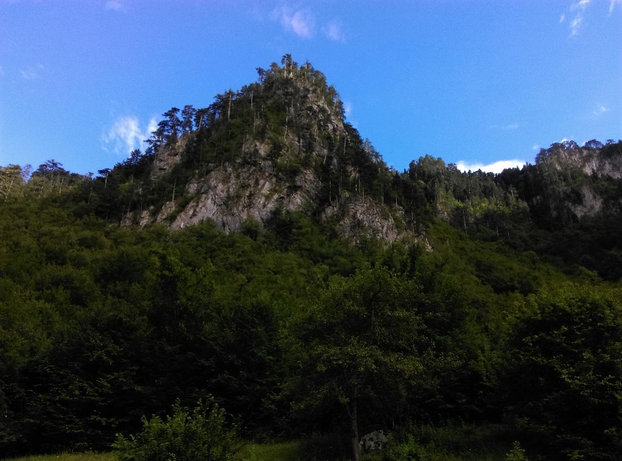 Vila Montana Dobrilovina Екстер'єр фото