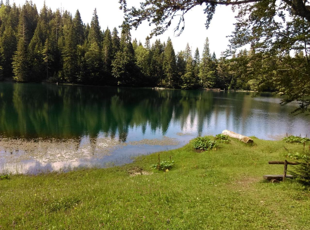 Vila Montana Dobrilovina Екстер'єр фото